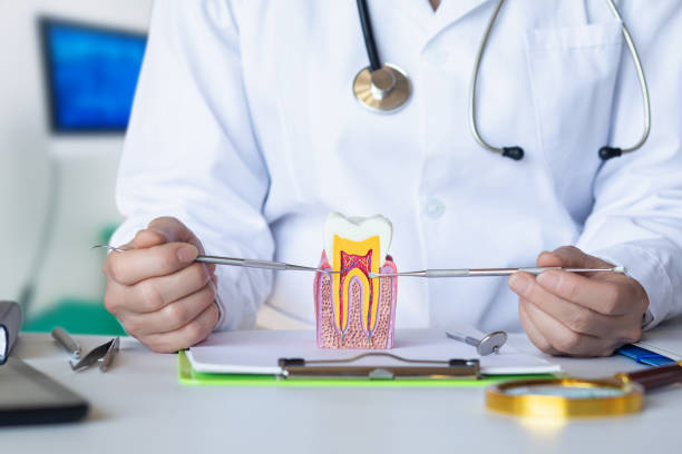 Best Emergency Dental Care for Abscessed Tooth in Monteagle, TN